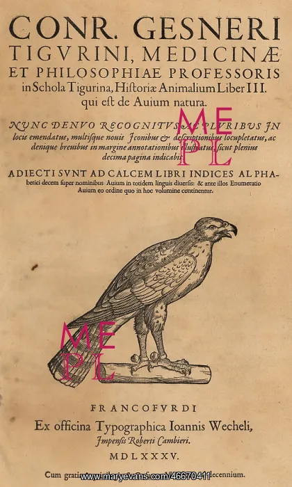 : Title page with vignette of hawk from Conrad Gessner's : Title page with vignette of hawk from Conrad Gessner's