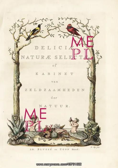 : Title page with vignette from Knorr's Deliciae : Title page with vignette from Knorr's Deliciae