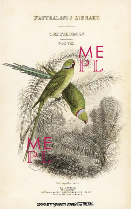 : Title page with vignette of two rose-ringed : Title page with vignette of two rose-ringed