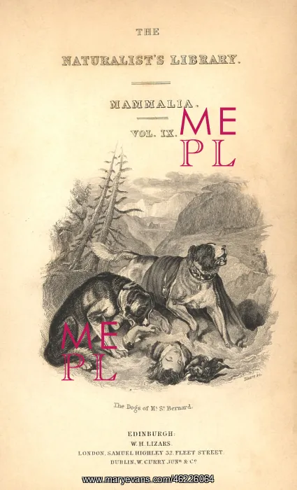 : Title page with vignette of St Bernard dogs : Title page with vignette of St Bernard dogs