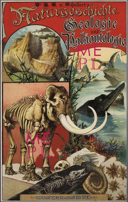 : Title page with vignettes of dinosaurs, skeletons : Title page with vignettes of dinosaurs, skeletons