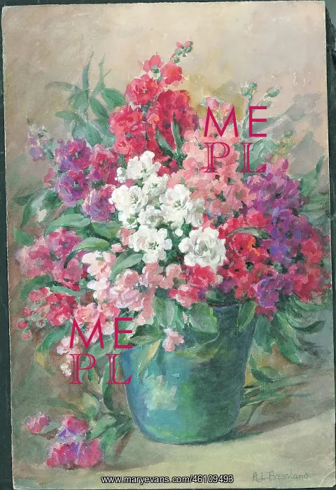: No title or Stocks'. Flowers in vase : No title or Stocks'. Flowers in vase