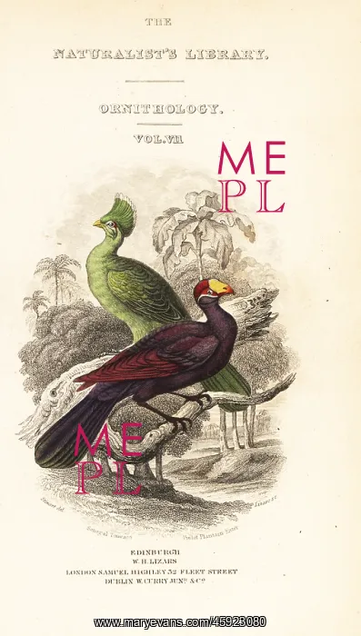 : Titlepage with vignette of Guinea turaco and violet turaco : Titlepage with vignette of Guinea turaco and violet turaco