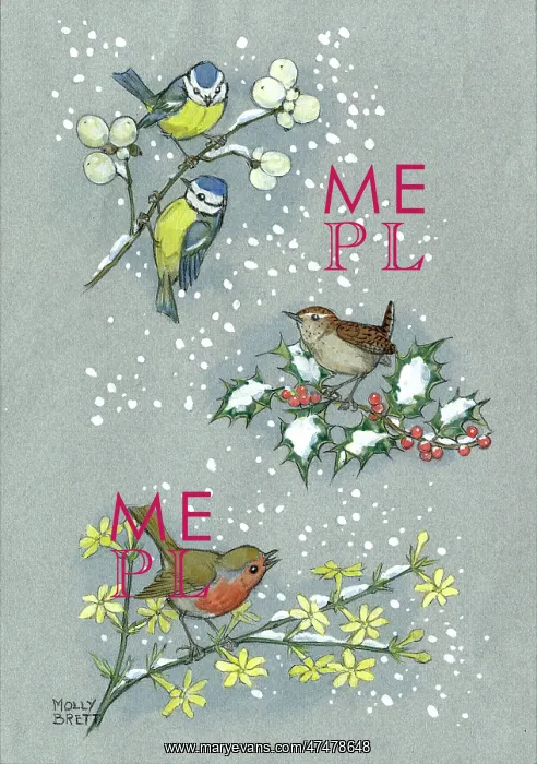 : Tits, wren and robin with holly, jessamine : Tits, wren and robin with holly, jessamine