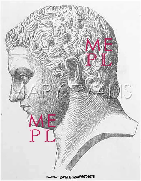 : TITUS FLAVIUS VESPASIANUS : TITUS FLAVIUS VESPASIANUS