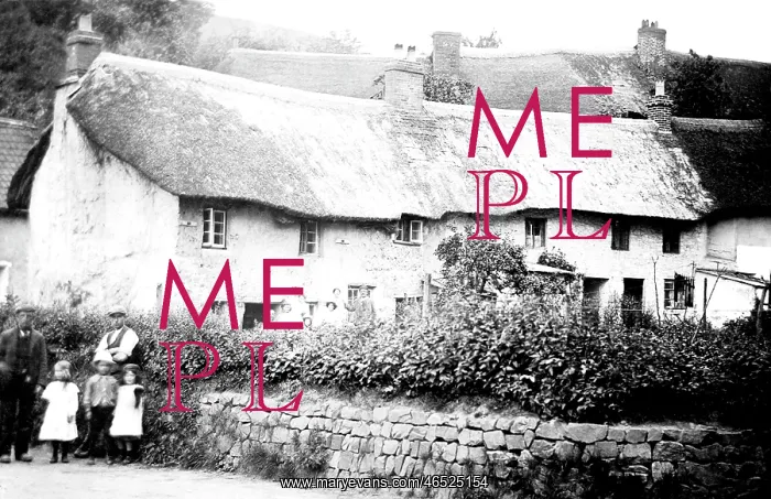  : Tiverton, Little Silver 1914