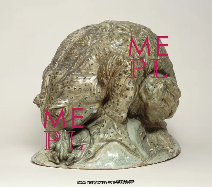 : Toad and frog : Toad and frog