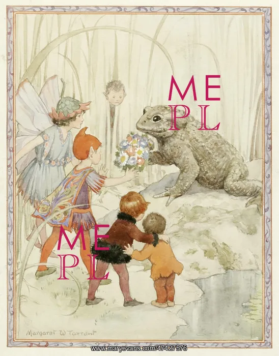  : Toad - Illustration from the book The Pond Fairies'~~