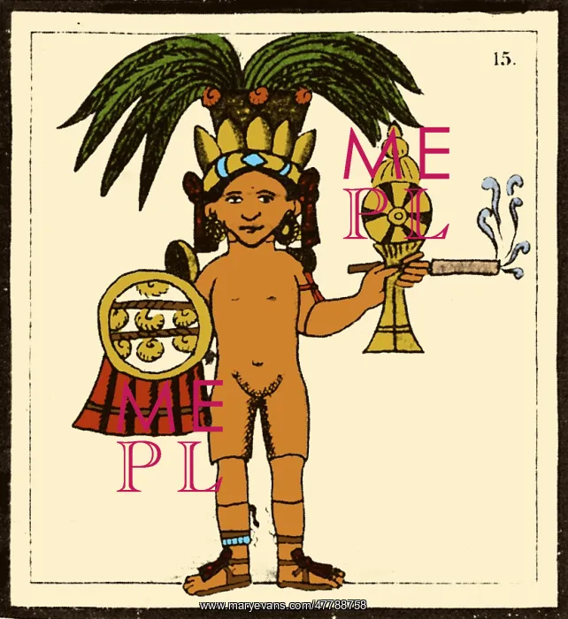 : Tobacco In Aztec Ritual, Florentine Codex : Tobacco In Aztec Ritual, Florentine Codex