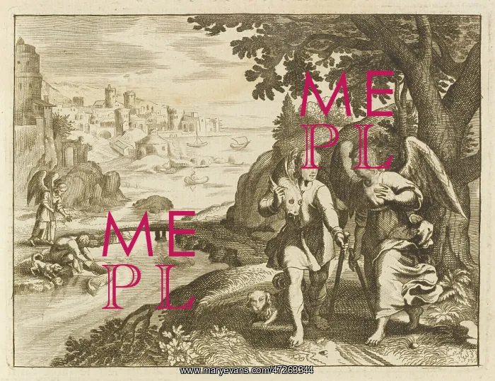: Tobias Meets an Angel : Tobias Meets an Angel