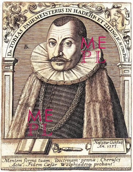 : TOBIAS PAURMEISTER : TOBIAS PAURMEISTER