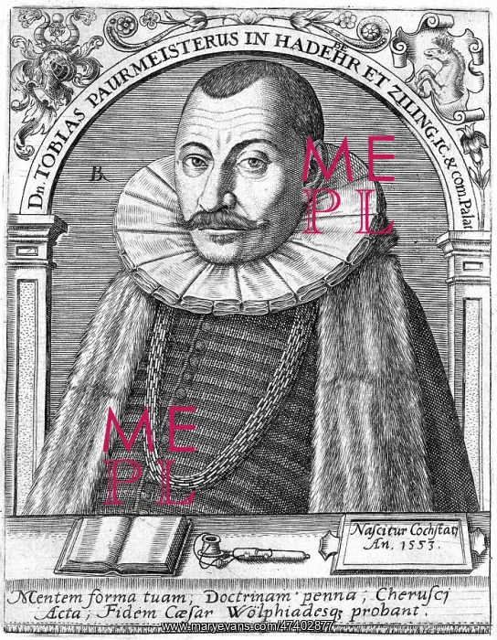 : TOBIAS PAURMEISTER : TOBIAS PAURMEISTER