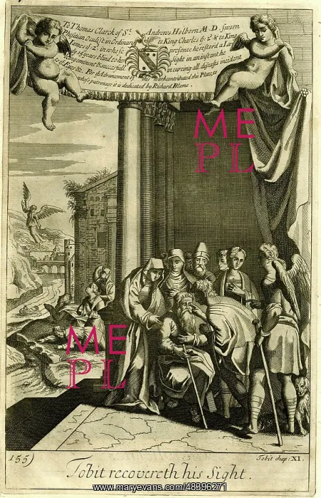 : Tobit recovers his sight : Tobit recovers his sight