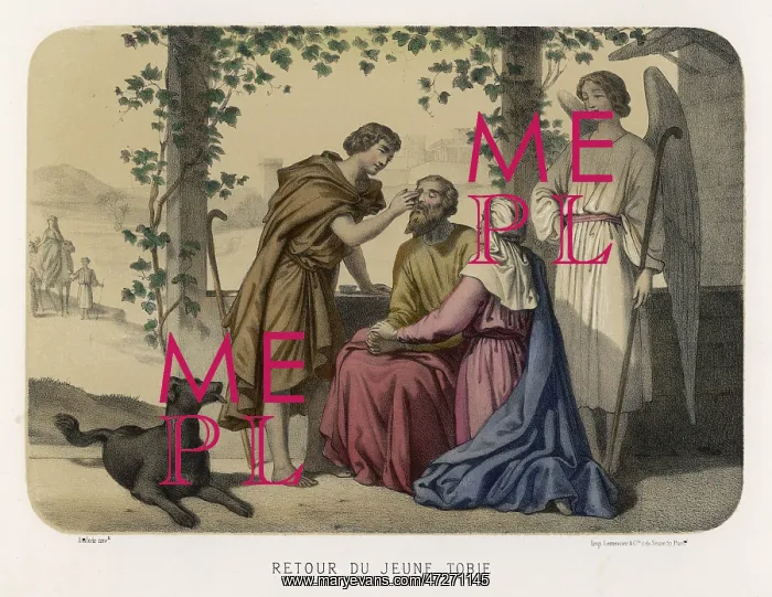 : TOBIT'S SIGHT RESTORED : TOBIT'S SIGHT RESTORED
