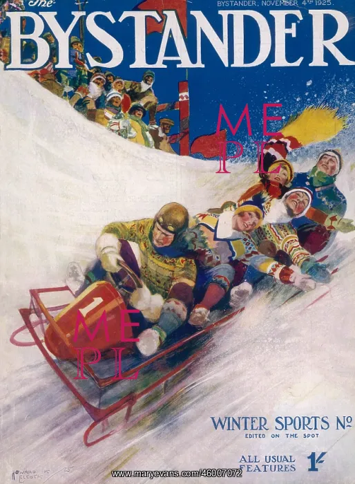 : Toboggan or bobsleigh ride : Toboggan or bobsleigh ride