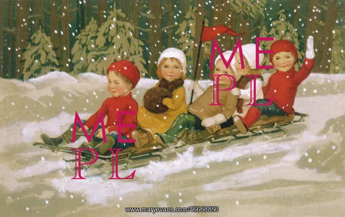  : Tobogganing fun in Winter