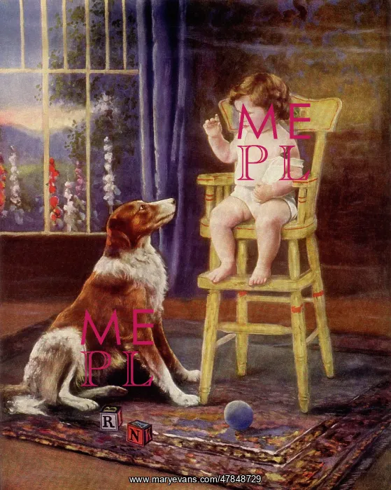  : Toddler and Collie