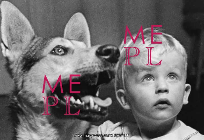 : Toddler with a German Shepherd, 1937 : Toddler with a German Shepherd, 1937