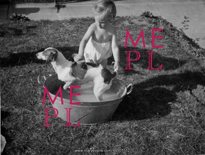 : Toddler giving dog a bath in the garden : Toddler giving dog a bath in the garden