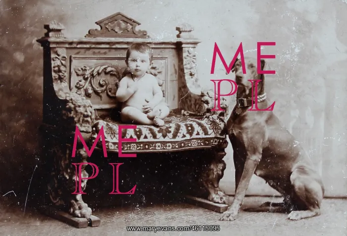 : Toddler with Great Dane : Toddler with Great Dane