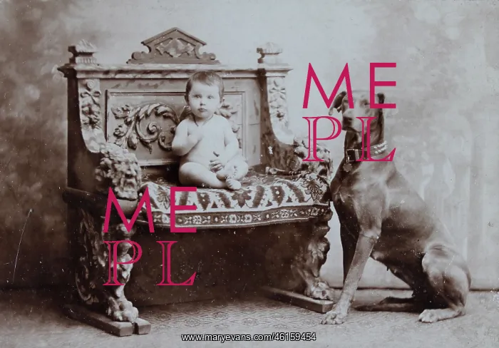 : Toddler with Great Dane : Toddler with Great Dane