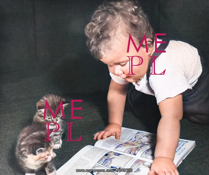 : Toddler and kittens reading a picture book : Toddler and kittens reading a picture book
