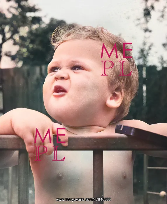  : Toddler in a playpen in a garden