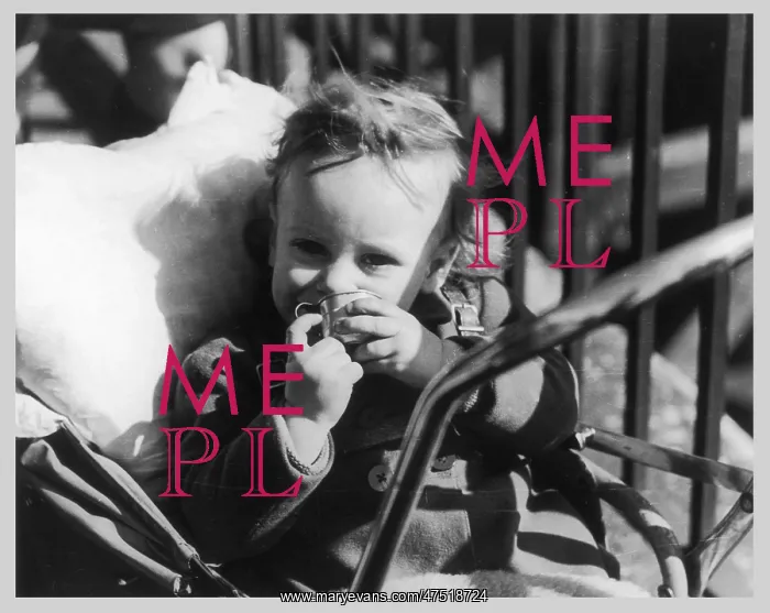  : TODDLER IN A PUSHCHAIR