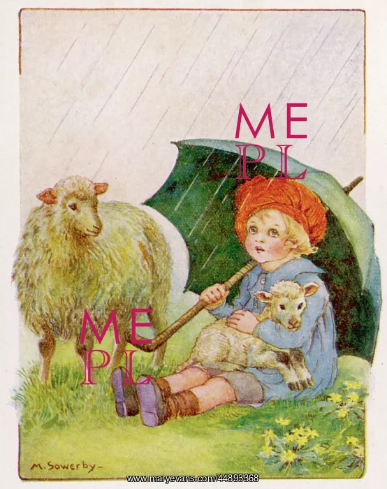 : Toddles put up his umbrella : Toddles put up his umbrella