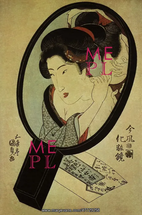 : Toilet Mirror