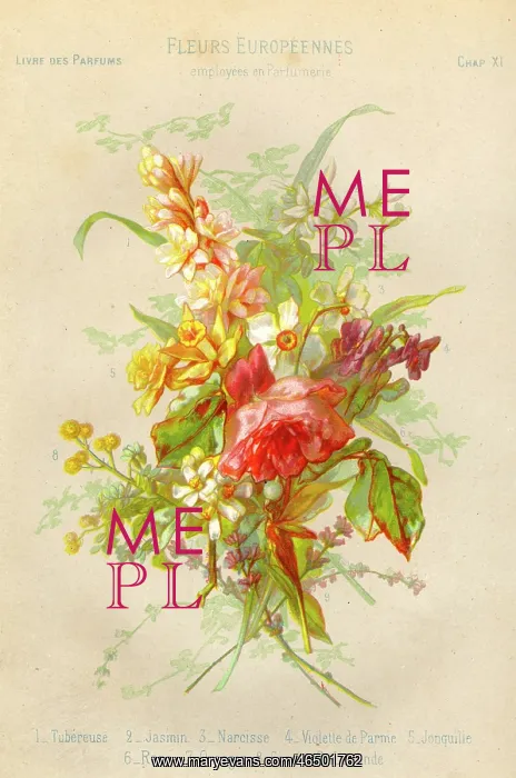 : Toilet - Perfume - Flowers : Toilet - Perfume - Flowers