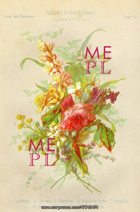 : Toilet - Perfume - Flowers : Toilet - Perfume - Flowers