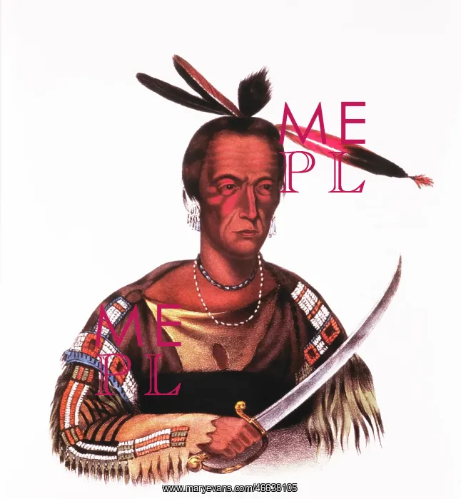 : Tokacou - Native American - Man : Tokacou - Native American - Man
