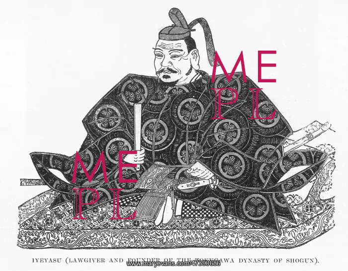 : Tokugawa Ieyasu : Tokugawa Ieyasu