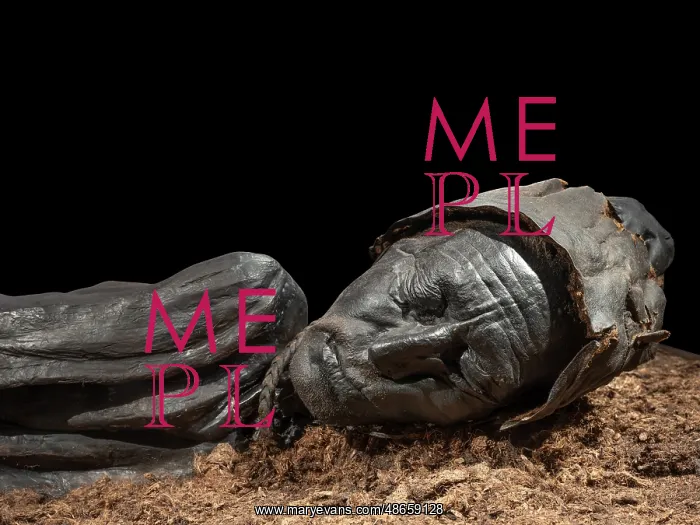 : Tollund Man, Silkeborg Museum, Silkeborg, Jutland, Denmark : Tollund Man, Silkeborg Museum, Silkeborg, Jutland, Denmark