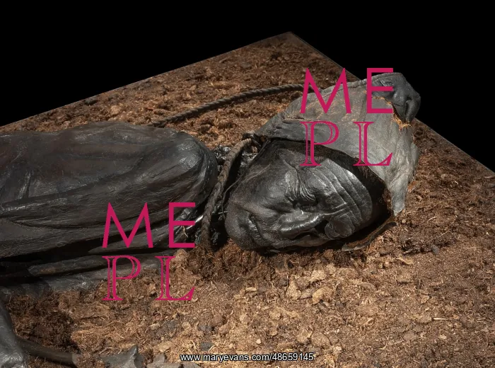 : Tollund Man, Silkeborg Museum, Silkeborg, Jutland, Denmark : Tollund Man, Silkeborg Museum, Silkeborg, Jutland, Denmark