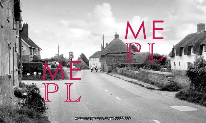  : Tolpuddle, Main Street c1955