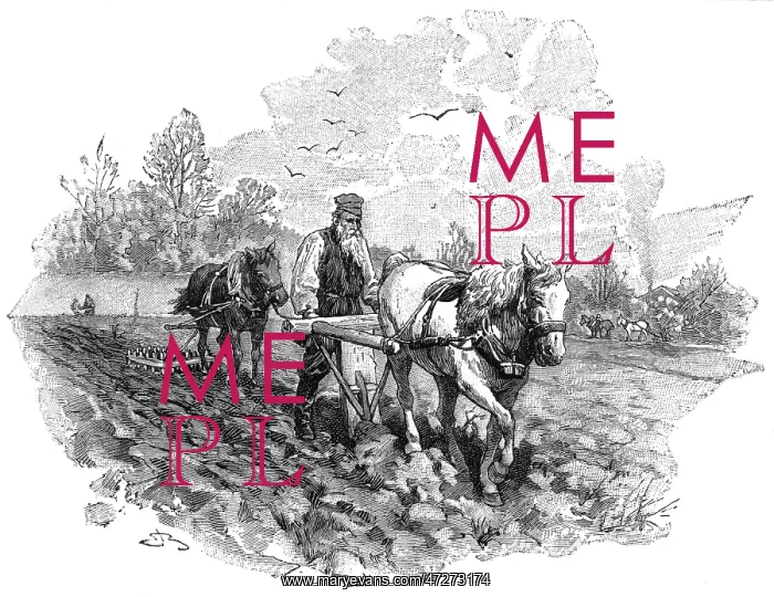  : Tolstoy plowing