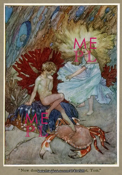 : TOM AND THE FAIRY : TOM AND THE FAIRY