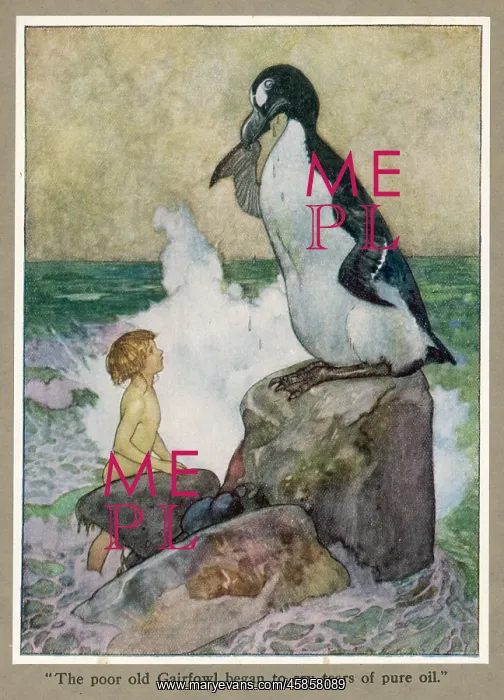 : TOM AND THE GAIRFOWL : TOM AND THE GAIRFOWL