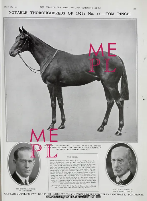 : Tom Pinch, Racehorse : Tom Pinch, Racehorse