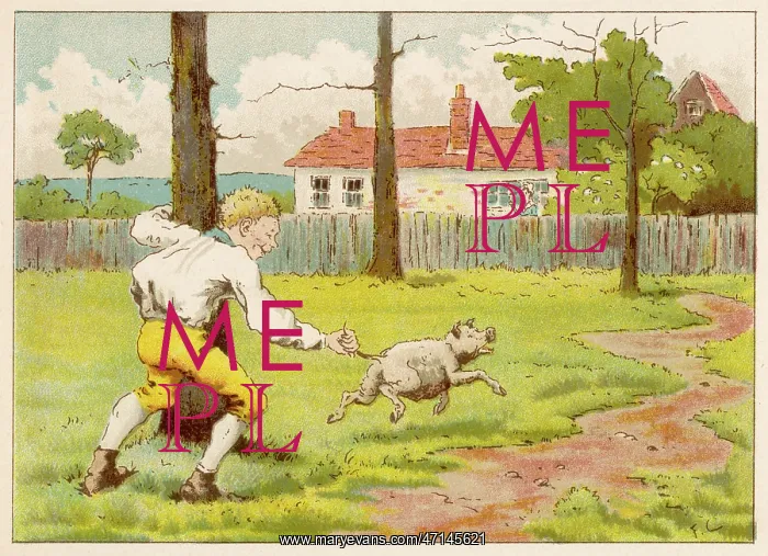 : Tom the Piper's Son grabs pig by tail : Tom the Piper's Son grabs pig by tail