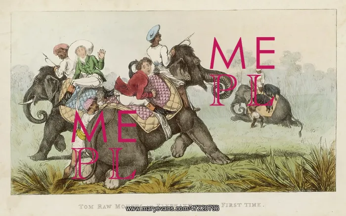 : Tom Raw : on Elephant : Tom Raw : on Elephant