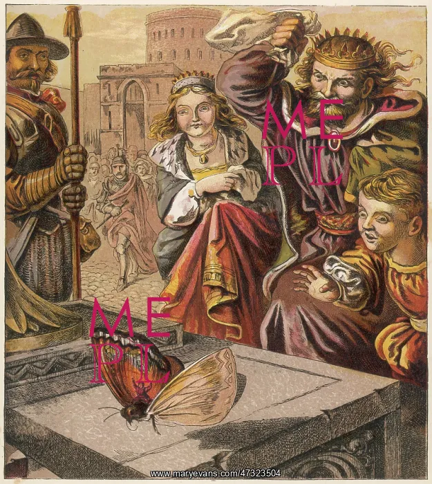  : TOM THUMB AND BUTTERFLY