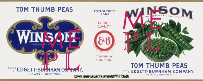  : Tom Thumb Peas