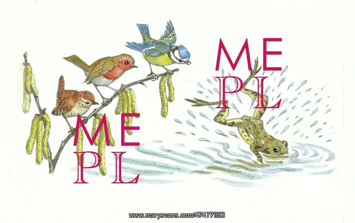 : Tom Tit's Mistake - blue tit, robin, wren, frog : Tom Tit's Mistake - blue tit, robin, wren, frog