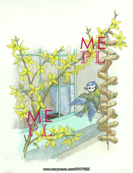 : Tom Tit's Mistake - blue tit at a window : Tom Tit's Mistake - blue tit at a window