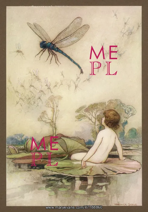 : TOM / WATER BABIES / 1909 : TOM / WATER BABIES / 1909