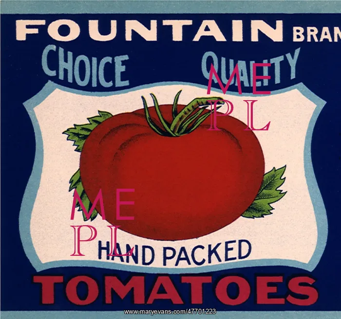  : Tomato