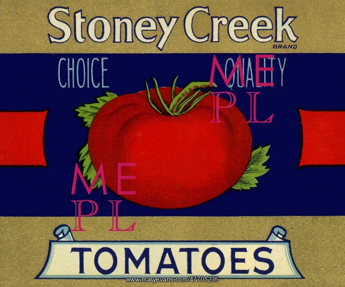  : Tomato